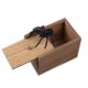 Spinne springt aus Box – Scherzartikel TikTok